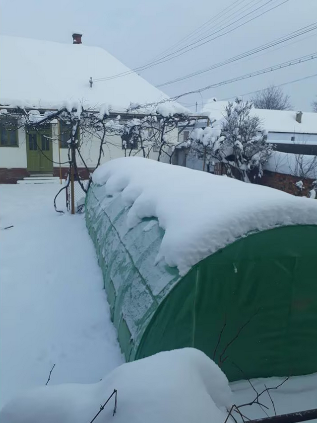 Sera clientului cu legume